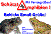 Email- Grußkarten ein Service von Kaulquappe.de